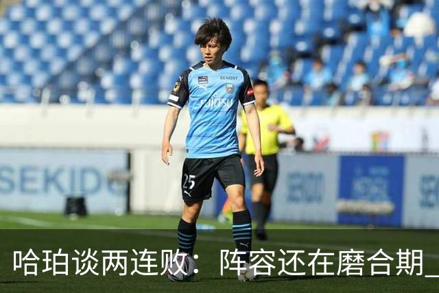 哈珀谈两连败：阵容还在磨合期 现在就开始焦虑为时过早