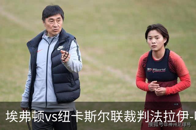 埃弗顿vs纽卡斯尔联裁判法拉伊-哈勒姆数据：近20场0红66黄6点