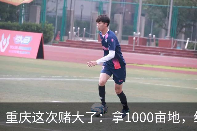 重庆这次赌大了：拿1000亩地，给无人机修所大学！