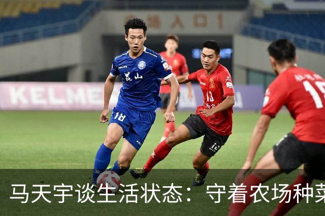 马天宇谈生活状态：守着农场种菜养鸡，钱够花便无所谓